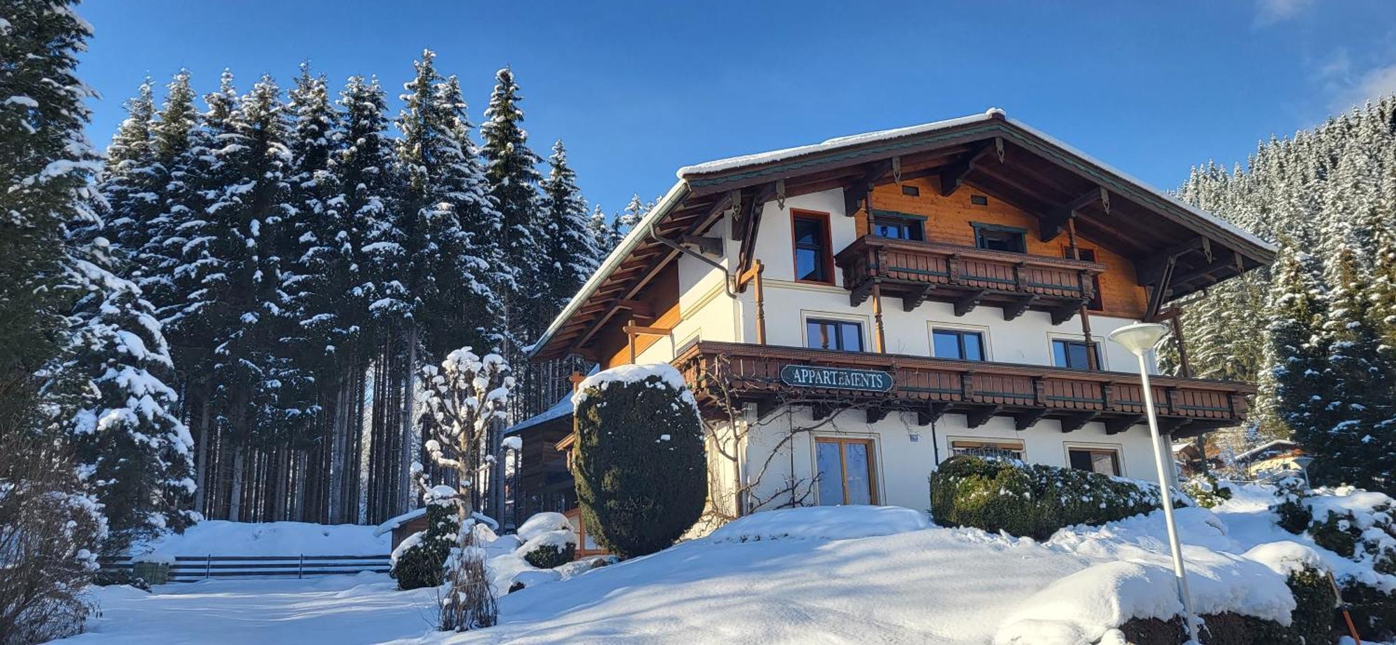 Am Waldrand 252 Apartment Neukirchen am Grossvenediger Luaran gambar